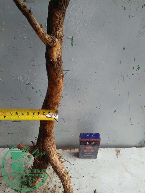 IMG20170314132739.jpg