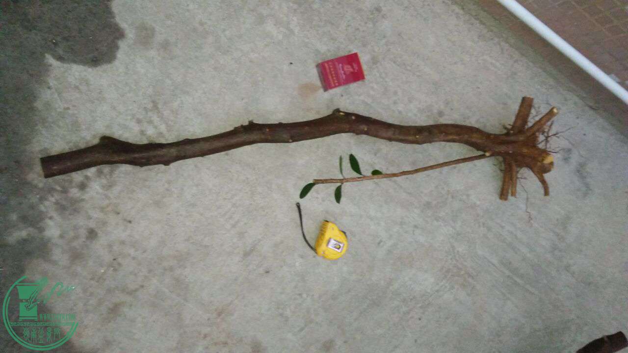 QQͼƬ20170315194755.jpg