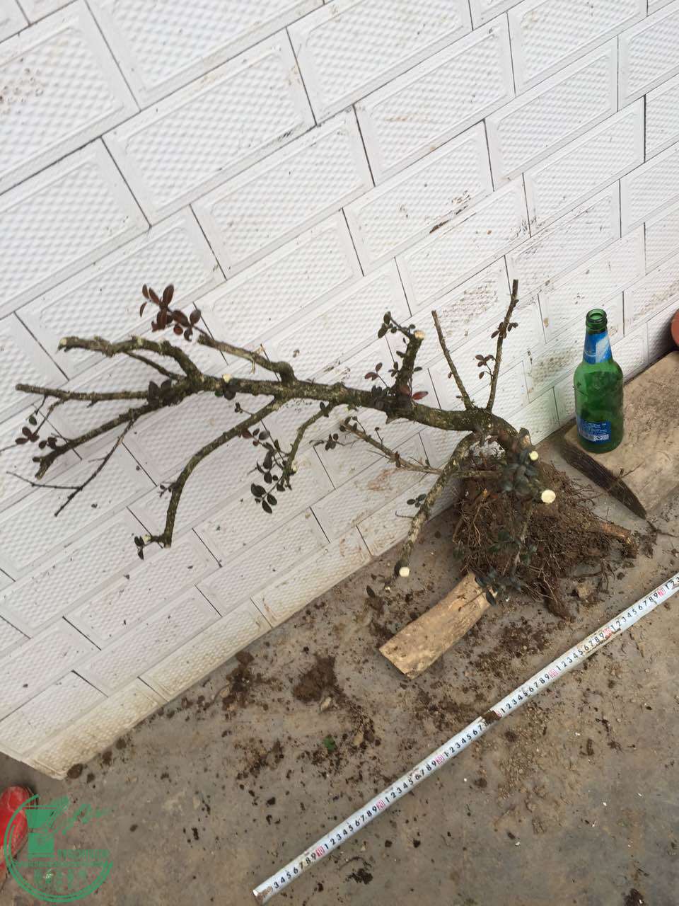 47.jpg