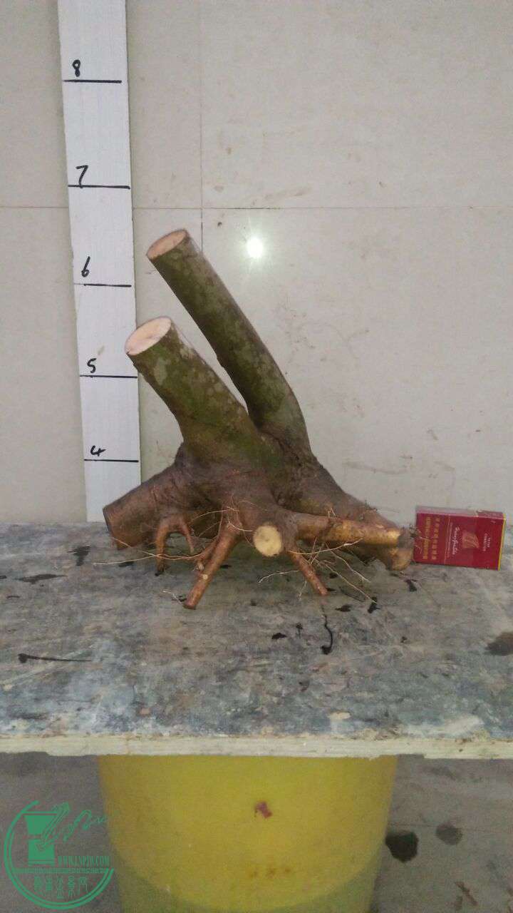 QQͼƬ20170316192834.jpg