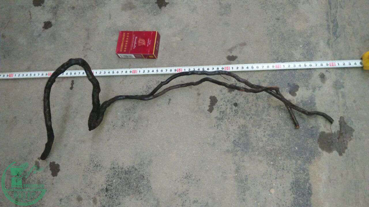 QQͼƬ20170316192851.jpg