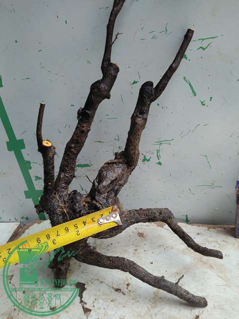 IMG20170316111603.jpg