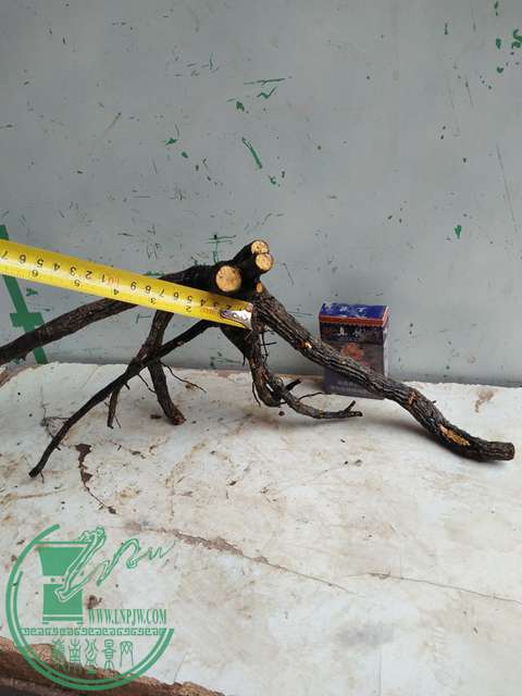 IMG20170316111910.jpg