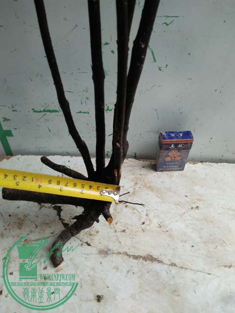 IMG20170316112430.jpg