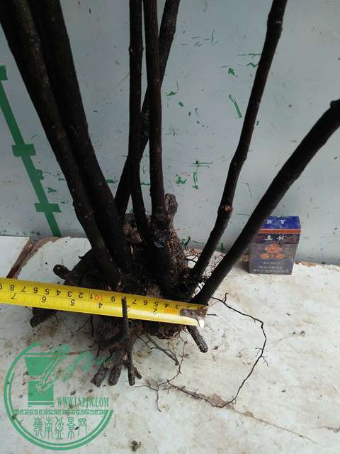 IMG20170316112516.jpg