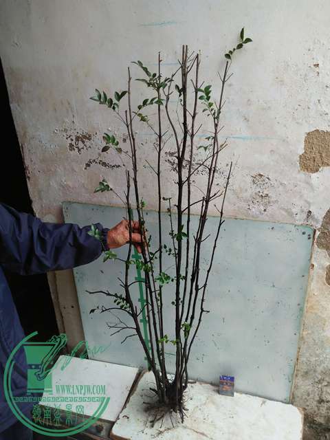 IMG20170316112627.jpg