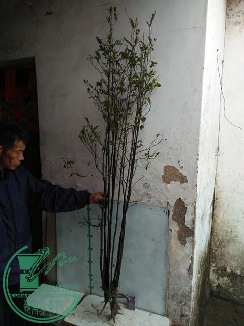 IMG20170316112746.jpg