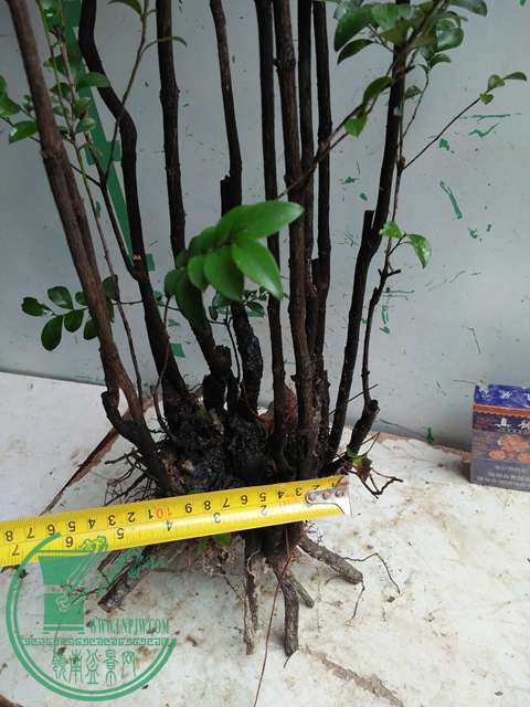 IMG20170316112811.jpg