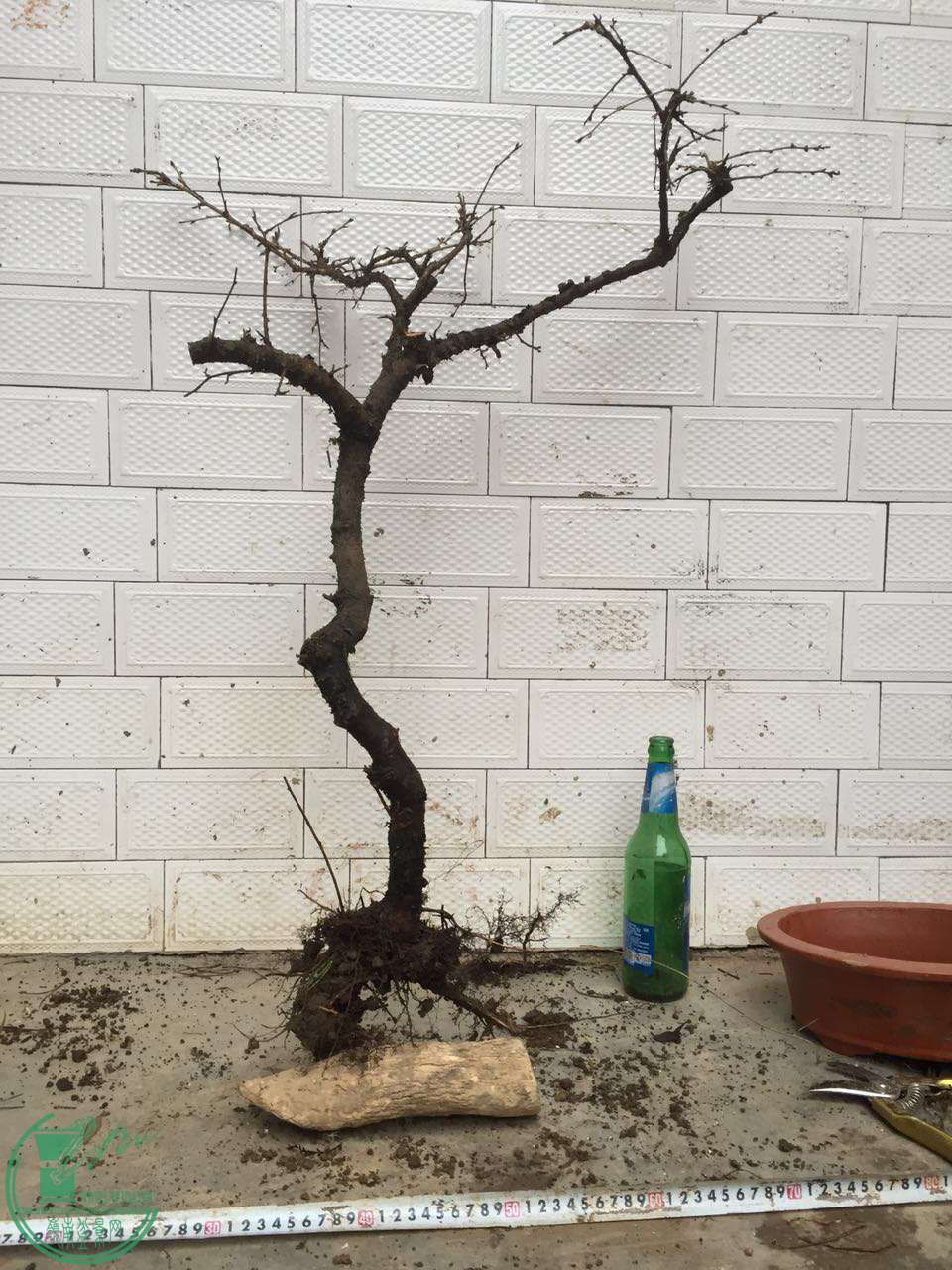 26.jpg
