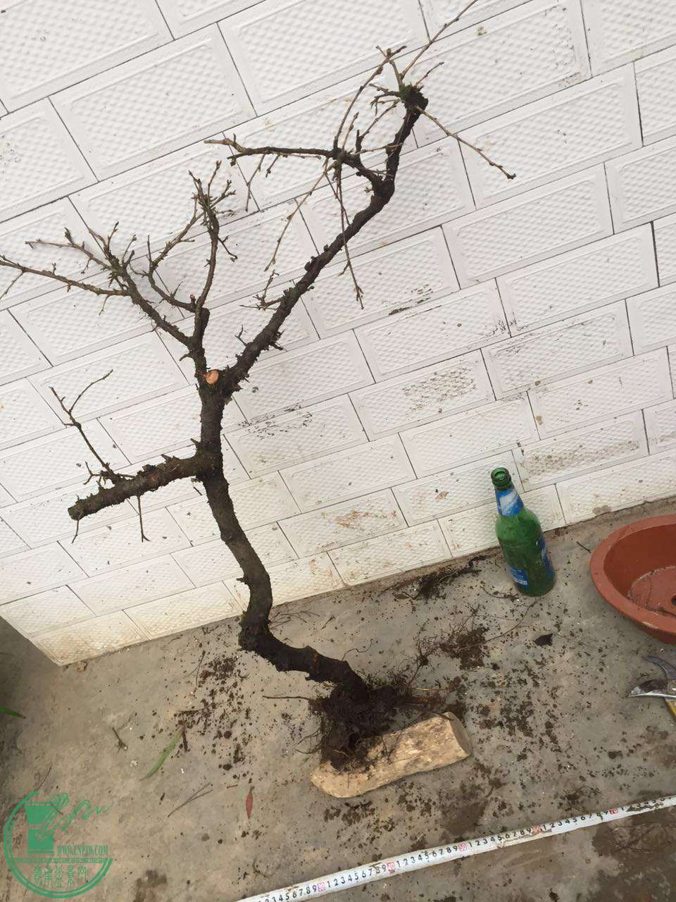 28.jpg