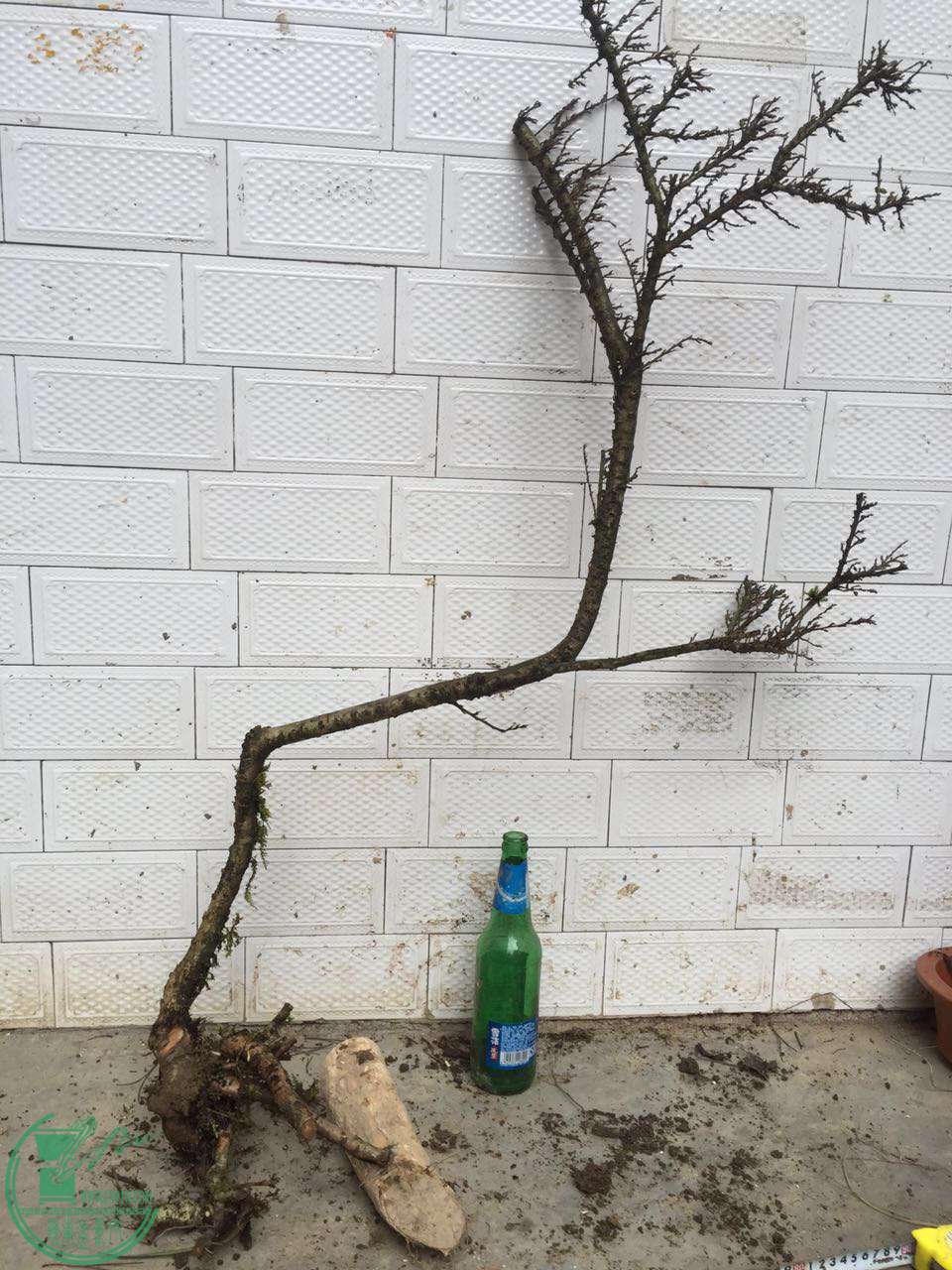 58.jpg