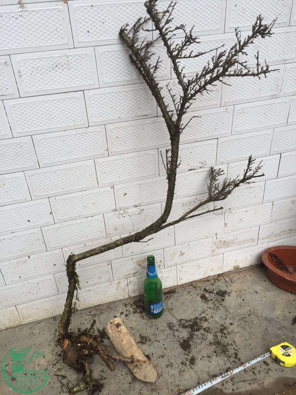 59.jpg