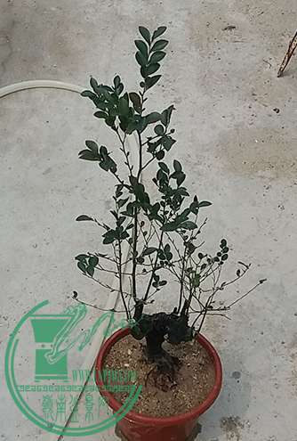 20170316_110827_mh1489662128139.jpg
