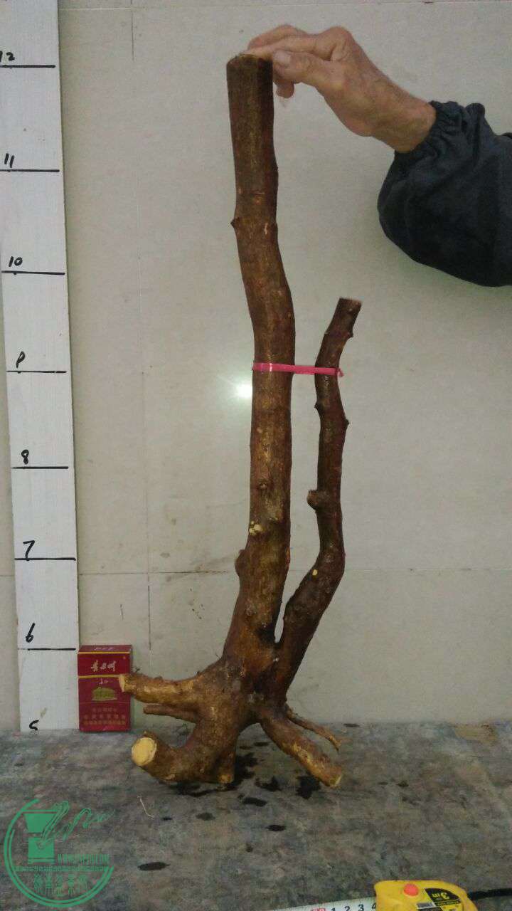 QQͼƬ20170317192056.jpg