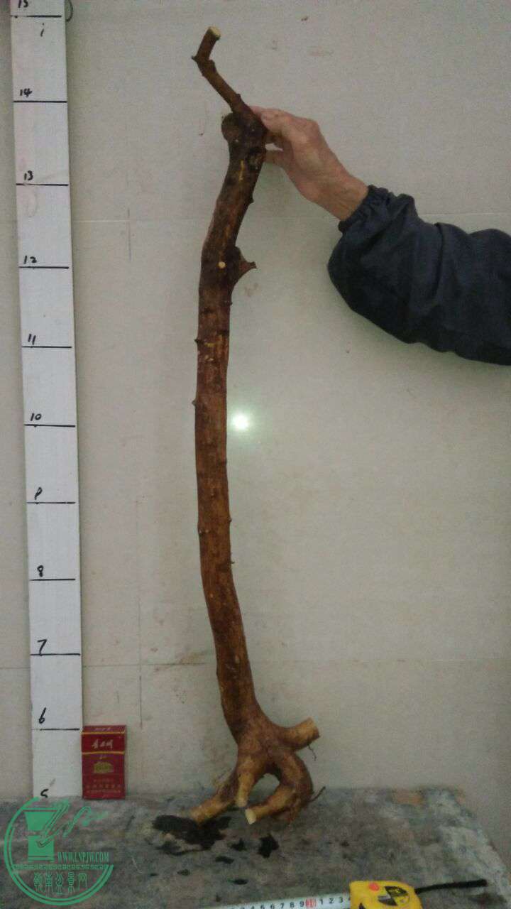 QQͼƬ20170317192020.jpg