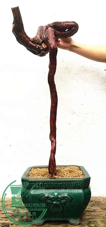 7_.jpg