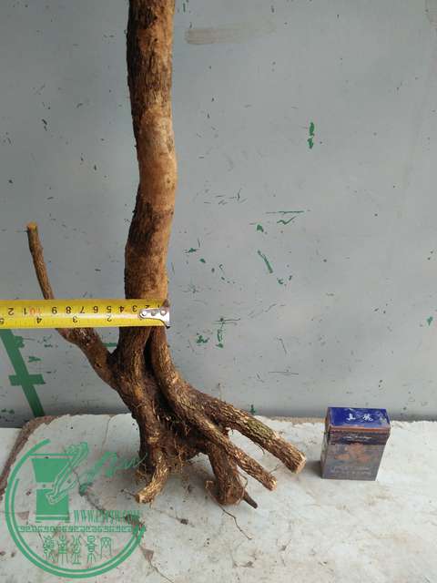IMG20170317123923.jpg