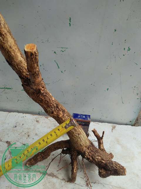 IMG20170317124156.jpg