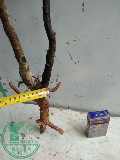 IMG20170317124507.jpg