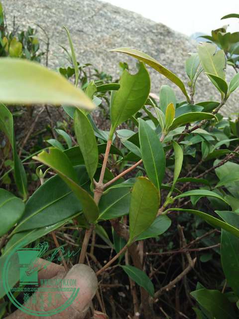 IMG20170316164132.jpg