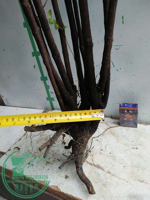IMG20170316112733.jpg