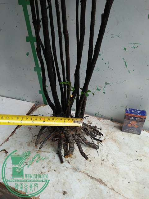 IMG20170316112615.jpg