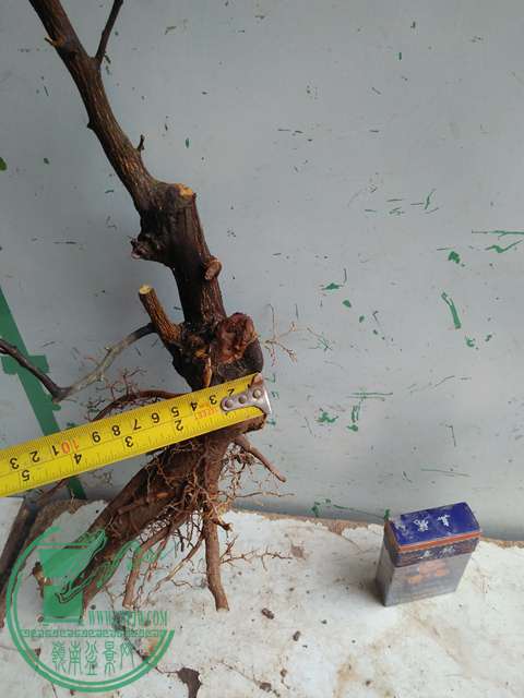 IMG20170316110039.jpg