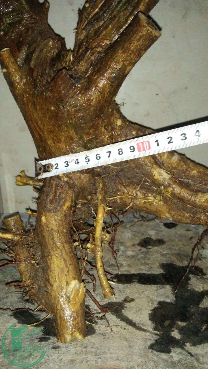 QQͼƬ20170318201934.jpg