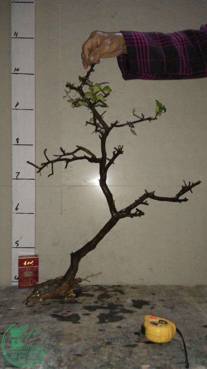 QQͼƬ20170318201801.jpg