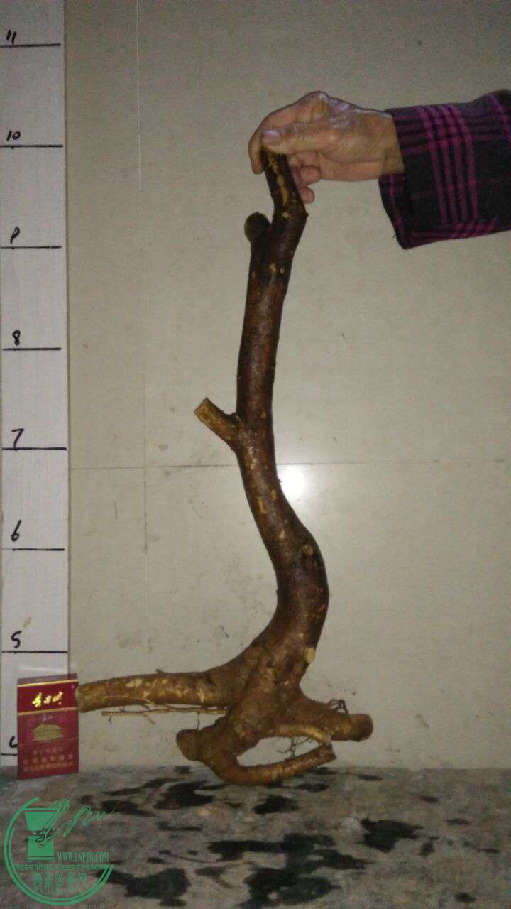QQͼƬ20170318201916.jpg