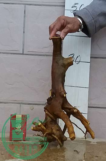 20170318_181128_mh1489834802362.jpg