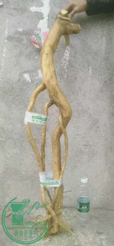 870904