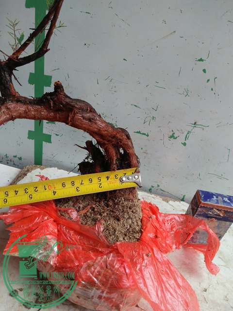 IMG20170318141617.jpg
