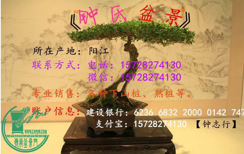 232624ce727xseyobzzuem.jpg