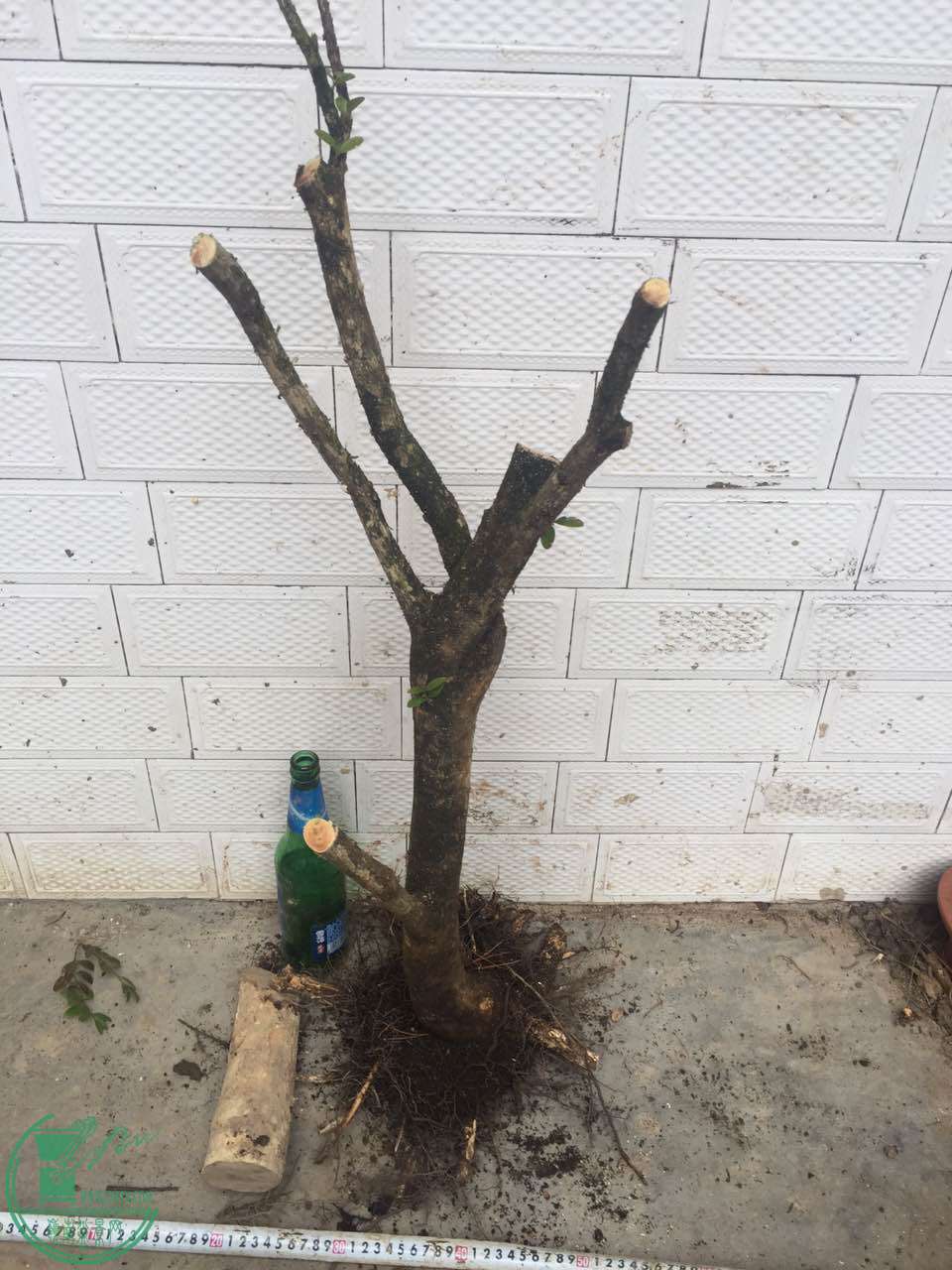 48.jpg