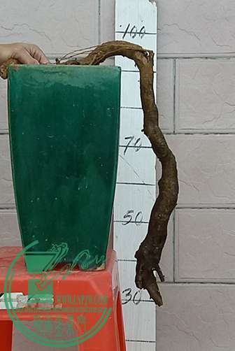 20170320_183150_mh1490008790171.jpg