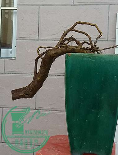 20170320_183236_mh1490008837568.jpg