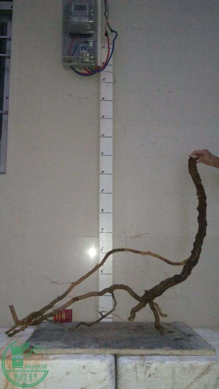 QQͼƬ20170321194033.jpg