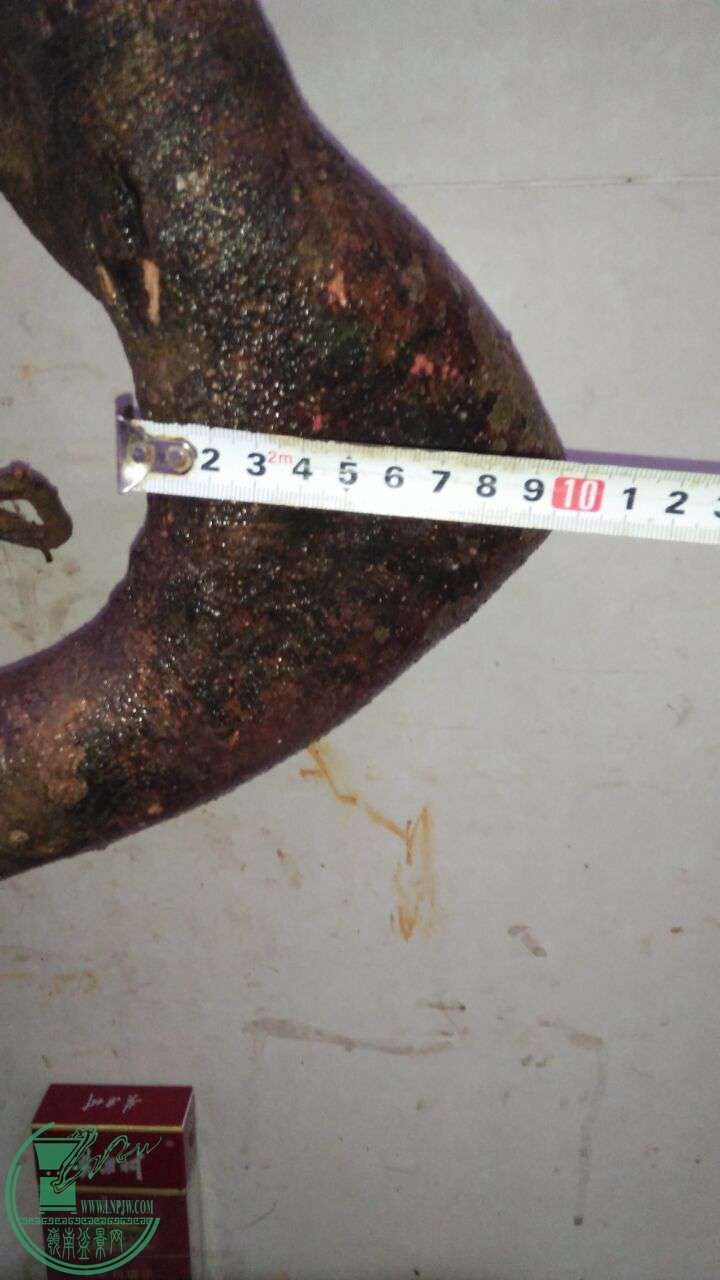 QQͼƬ20170321194602.jpg