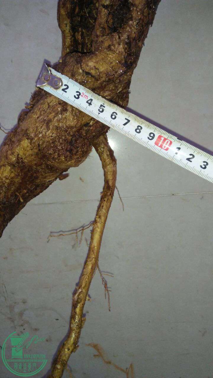 QQͼƬ20170321194358.jpg