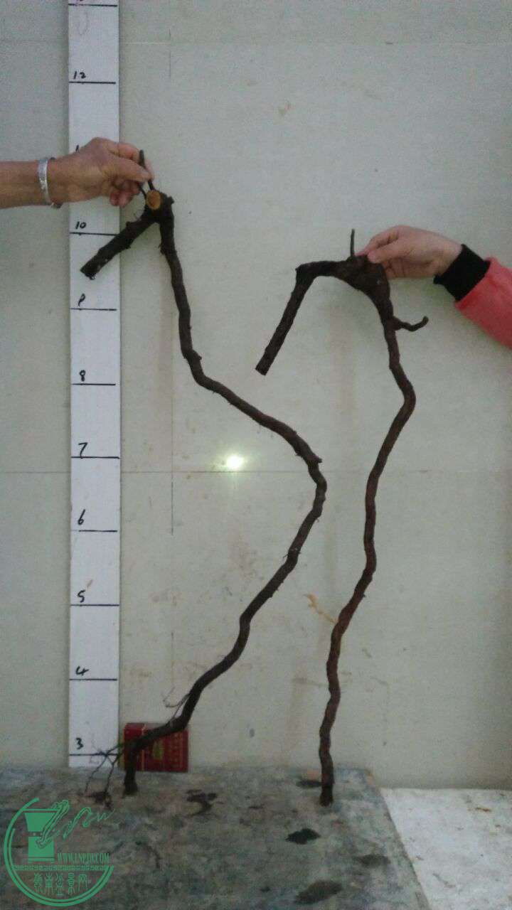 QQͼƬ20170321194332.jpg