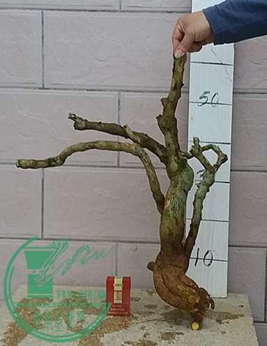 20170321_182623_mh1490095425181.jpg