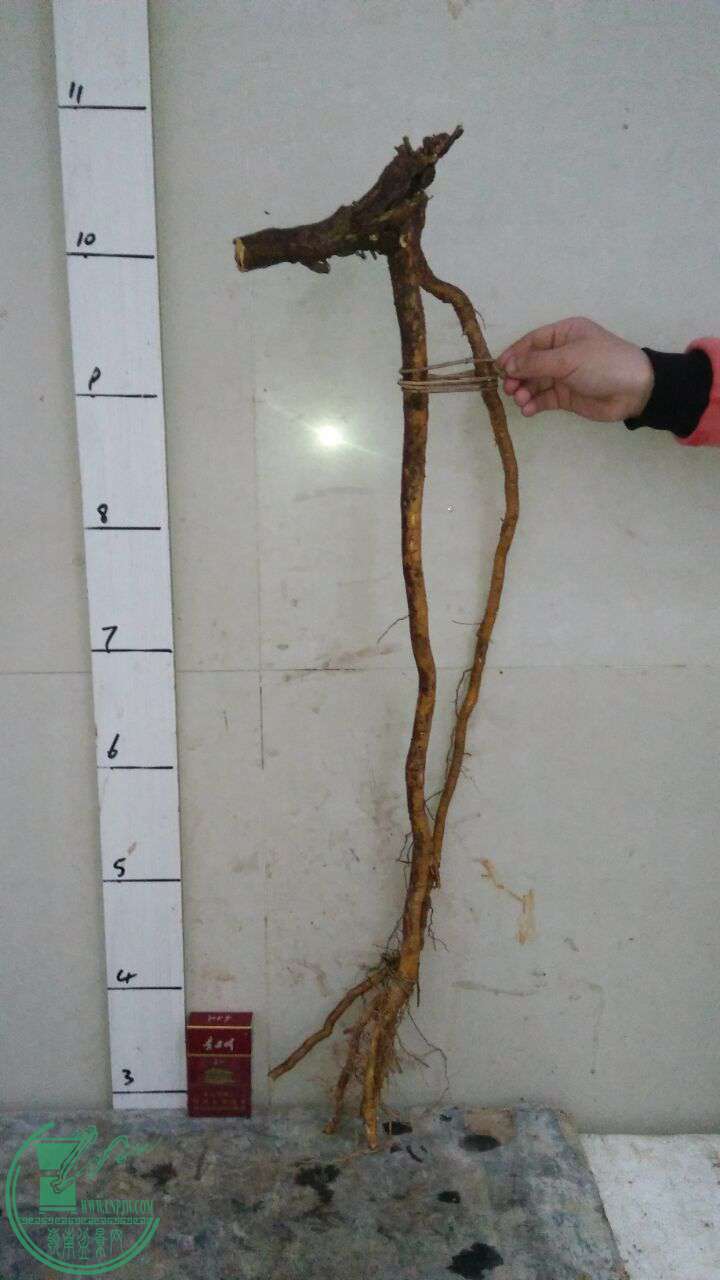 QQͼƬ20170321194232.jpg