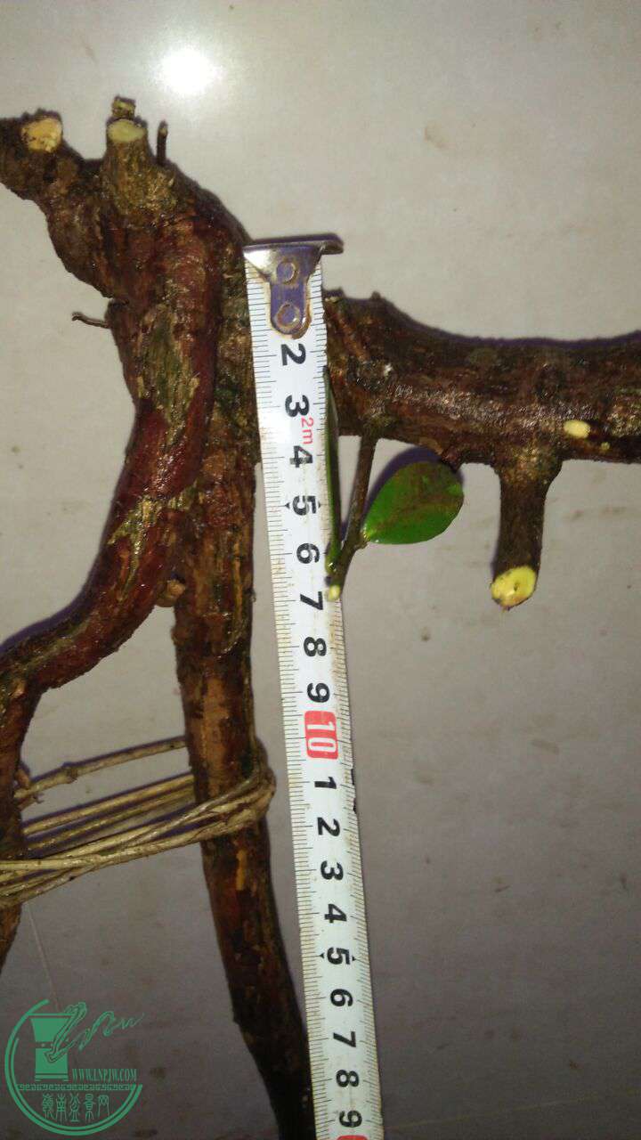 QQͼƬ20170321194248.jpg