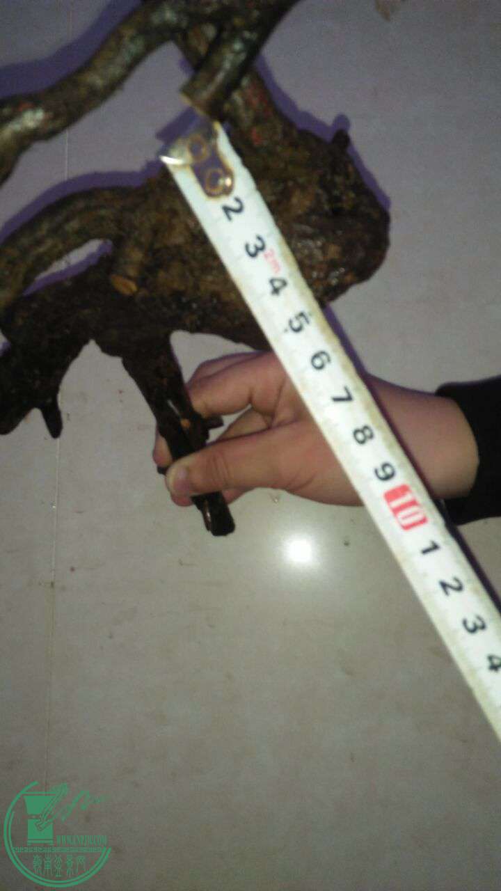 QQͼƬ20170321194322.jpg