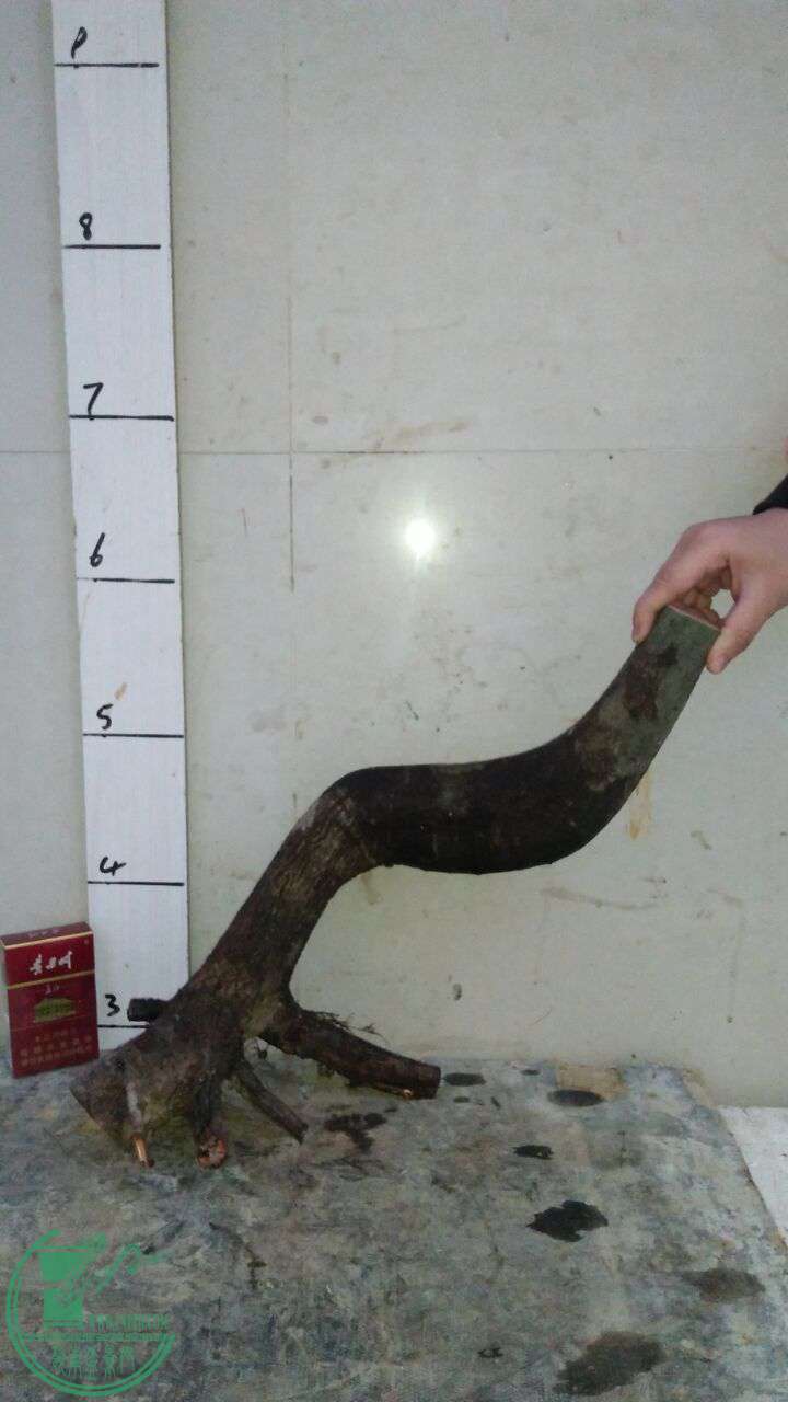 QQͼƬ20170321194214.jpg