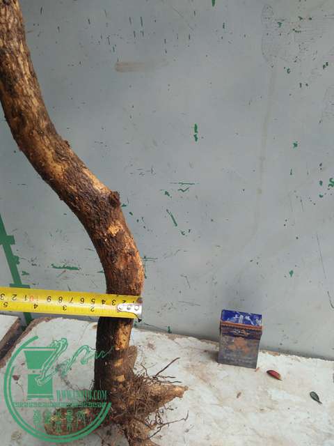 IMG20170321092721.jpg