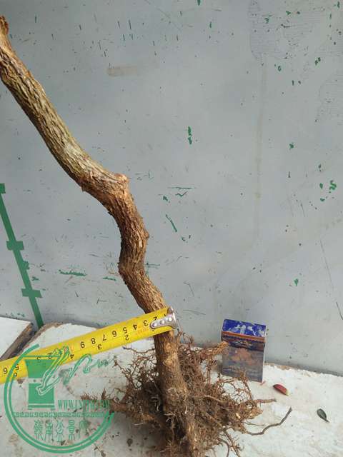 IMG20170321093141.jpg