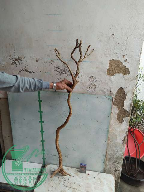 IMG20170321093356.jpg