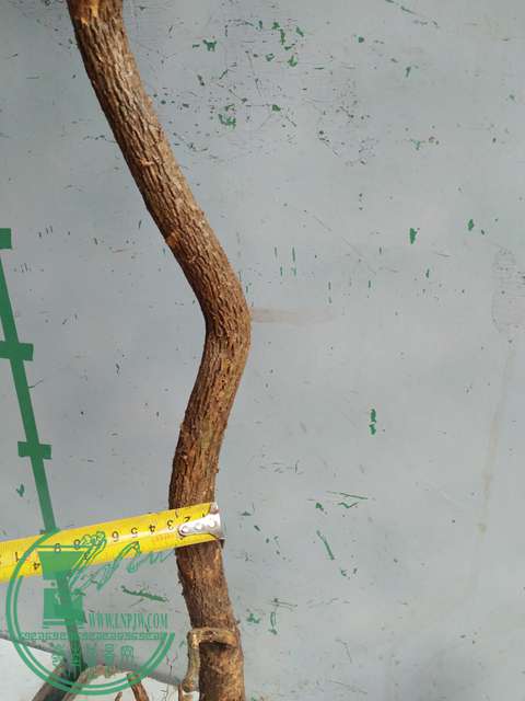 IMG20170321093456.jpg